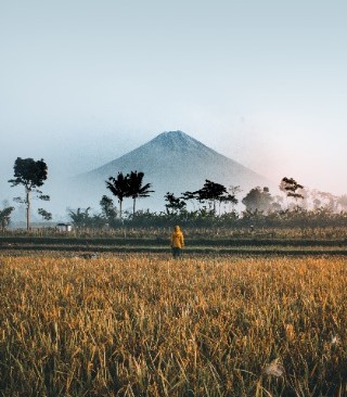 2024/01/indonesia-desti-1.jpg