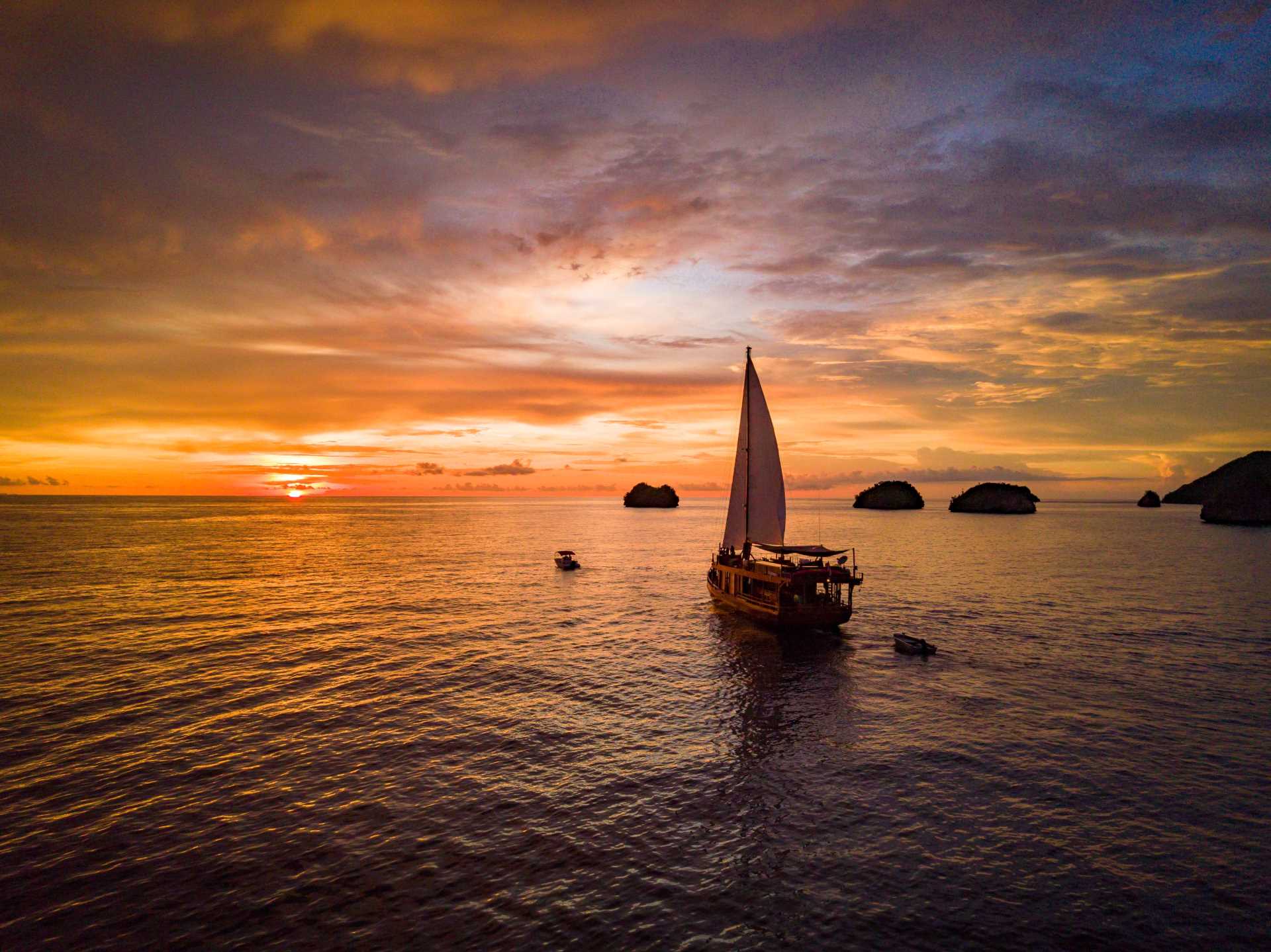 2024/02/SAILING-TO-SUNSET_sequoia.jpg