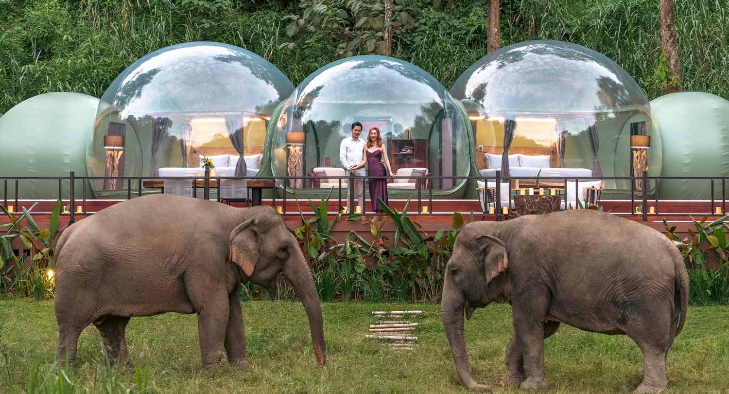 2024/12/Thailand-anantara-golden-triangle-_-jungle-bubble-lodge-1_1920x1037.jpg